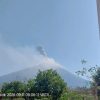 Gunung Ili Lewotolok Erupsi, Kolom Abu Mencapai 700 Meter