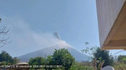 Gunung Ili Lewotolok Erupsi, Kolom Abu Mencapai 700 Meter