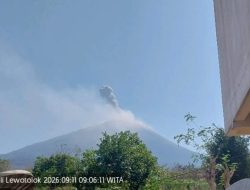 Gunung Ili Lewotolok Erupsi, Kolom Abu Mencapai 700 Meter